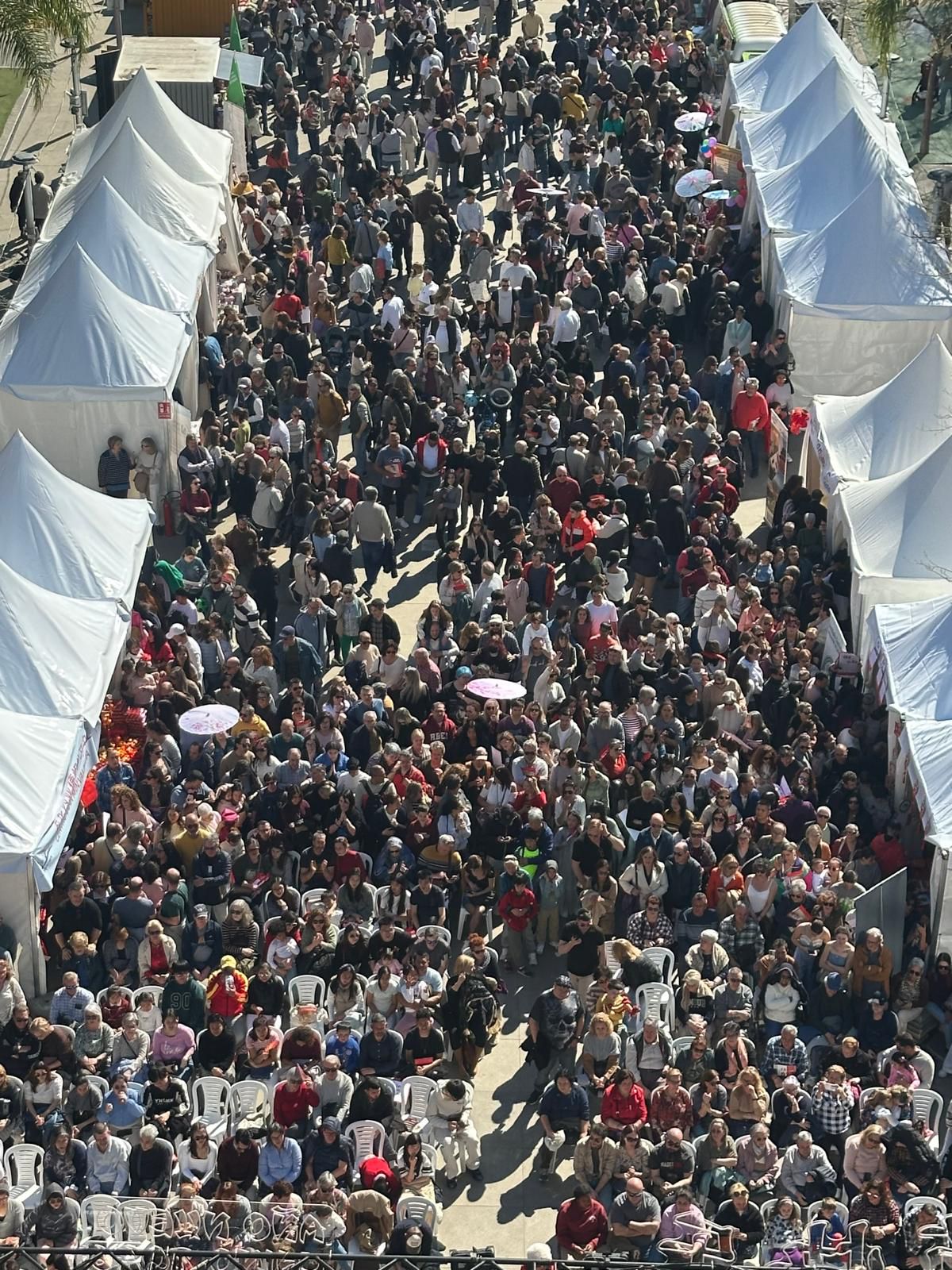 Torrent se rinde al encanto de Oriente con un "lleno total" en la Plaza Unió Musical 3 WhatsApp Image 2026 02 22 at 13.19.36