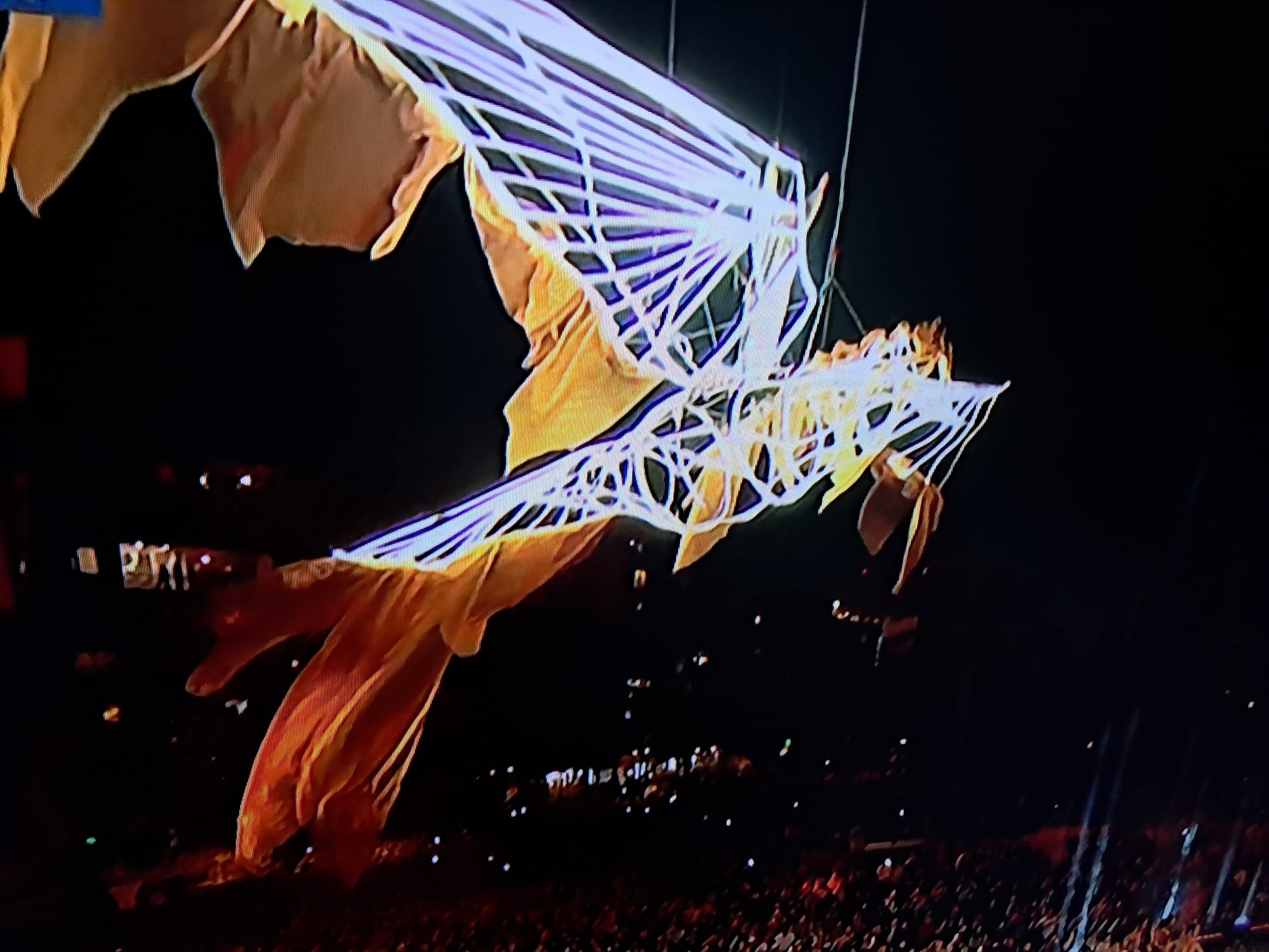 El resurgir del Fénix sobre las Torres de Serrans: Un espectáculo épico 100% valenciano congrega 100.000 personas 2 WhatsApp Image 2026 02 22 at 20.03.071