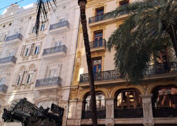 El picudo sigue afectando a palmeras en el centro de Valencia, esta semana se abatió una en la Calle Barcas