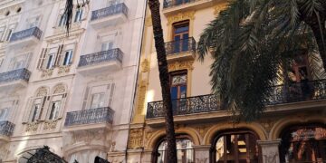 El picudo sigue afectando a palmeras en el centro de Valencia, esta semana se abatió una en la Calle Barcas