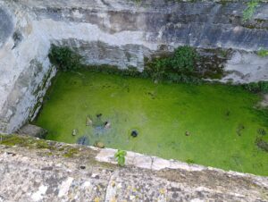 El Castell de Xàtiva: Una joya de la corona convertida en vergüenza institucional 12 El Castell de Xàtiva: Una joya de la corona convertida en vergüenza institucional