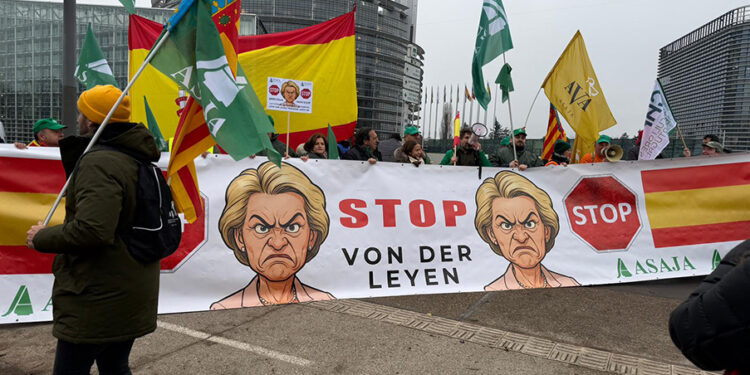 AVA-ASAJA considera insuficientes las salvaguardas del Parlamento Europeo: "La mejor garantía es la reciprocidad y complementariedad"