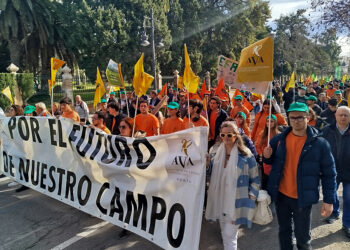 AVA-ASAJA exige a la Comisión y el Gobierno español que rectifiquen el "error" de Mercosur