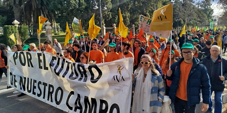 AVA-ASAJA exige a la Comisión y el Gobierno español que rectifiquen el "error" de Mercosur