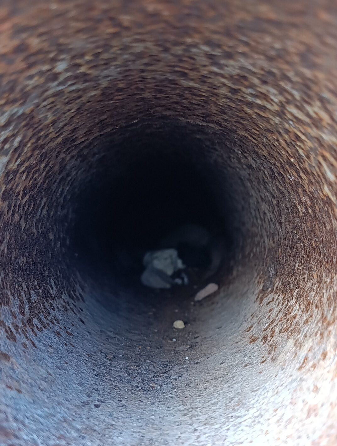 El Castell de Xàtiva: Una joya de la corona convertida en vergüenza institucional 6 El Castell de Xàtiva: Una joya de la corona convertida en vergüenza institucional