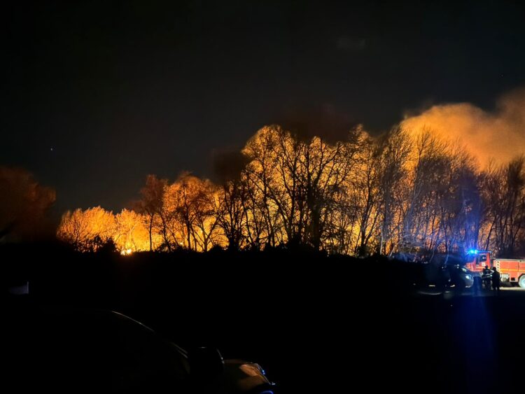 El fuego en un cañar obliga a suspender la circulación ferroviaria entre Valencia y Xàtiva