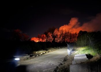 El fuego en un cañar obliga a suspender la circulación ferroviaria entre Valencia y Xàtiva