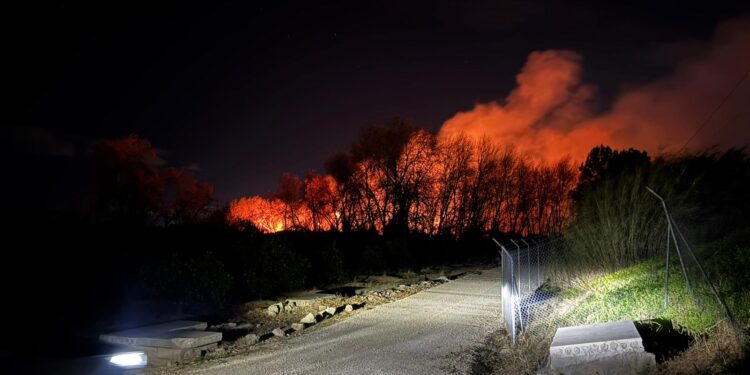 El fuego en un cañar obliga a suspender la circulación ferroviaria entre Valencia y Xàtiva