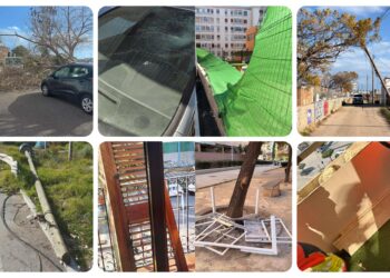 Alboraya hace balance de una jornada crítica tras el fuerte temporal de viento. Una persona herida leve