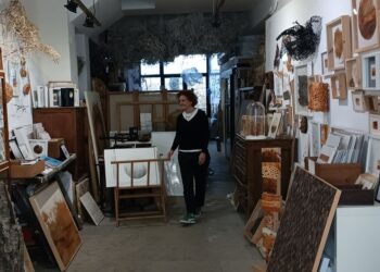 Instalación artística de Elena Martí utilizando raíces de la naturaleza y papel artesanal.