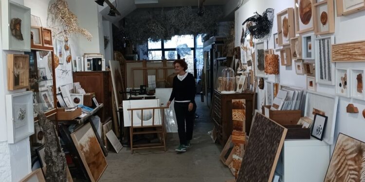 Instalación artística de Elena Martí utilizando raíces de la naturaleza y papel artesanal.