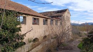 Fotograf&iacute;a lateral del Molino Sarrampedra con muros agrietados, vegetaci&oacute;n invasora y se&ntilde;ales de expolio reciente en huecos y carpinter&iacute;as desaparecidas.