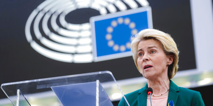 El campo europeo estalla contra Bruselas: el pacto con Mercosur se activa bajo la sombra de la carne hormonada 1 El campo europeo estalla contra Bruselas: el pacto con Mercosur se activa bajo la sombra de la carne hormonada