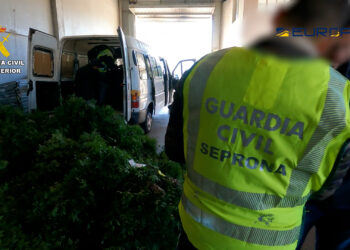 Detenidas 10 personas por expoliar cerca de mil toneladas de lentisco y exportarlo desde Tarragona a Europa