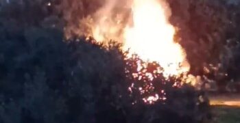 La pólvora descontrolada pone en jaque la seguridad de las Fallas en Valencia