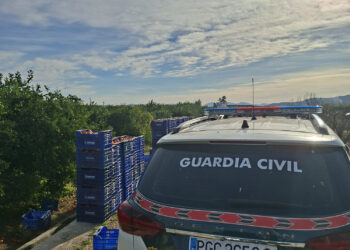 1 detenido y otros 4 investigados por sustracción de cítricos ilegalmente en Carcaixent y luego proceder a su venta