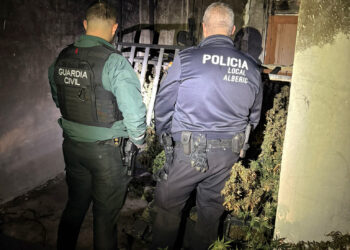 Localizada una plantación de cannabis tras un incendio en Alberic