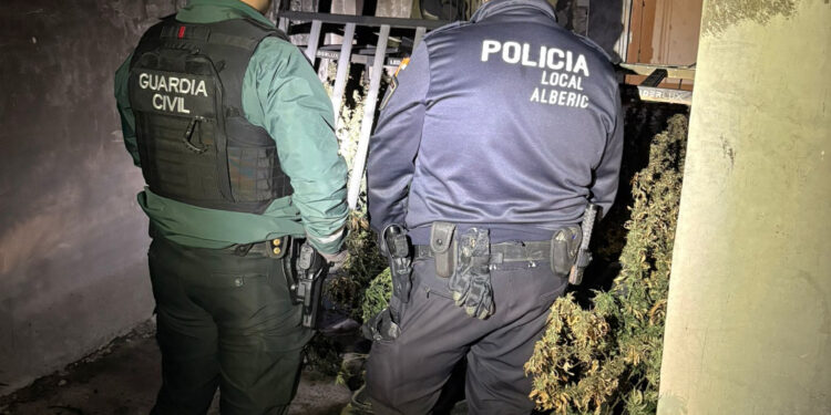 Localizada una plantación de cannabis tras un incendio en Alberic