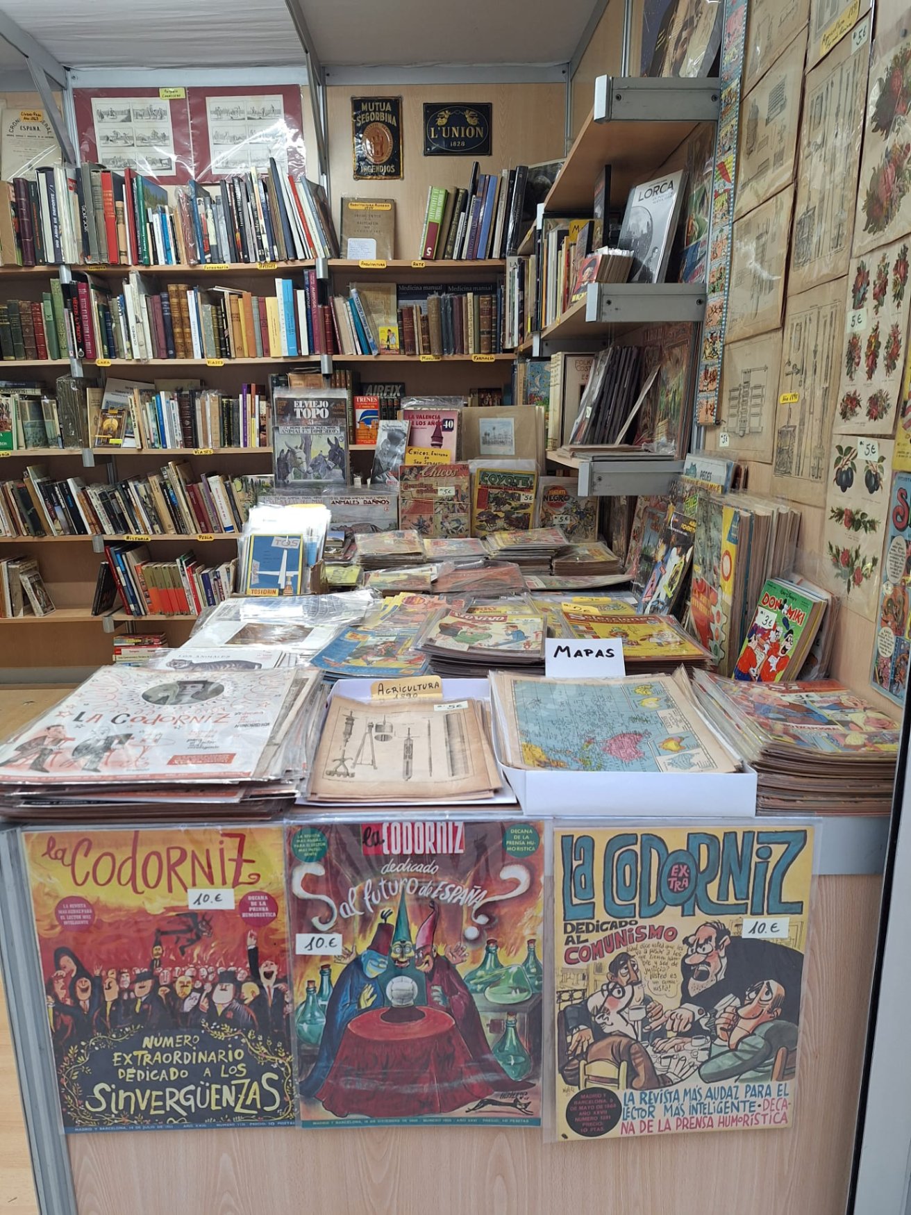 Valencia se reencuentra con su memoria de papel: abre la 49ª Feria del Libro Antiguo y de Ocasión 2 HC0ds 2XAAAJRdw