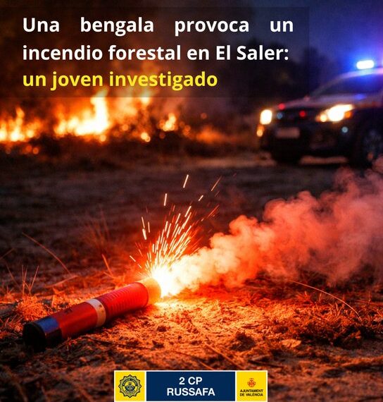 Un incendio provocado por una bengala en El Saler pone en jaque la protección de la Devesa 1 Un incendio provocado por una bengala en El Saler pone en jaque la protección de la Devesa