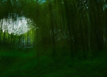 VerdeVerdad Exposicio Drassanes