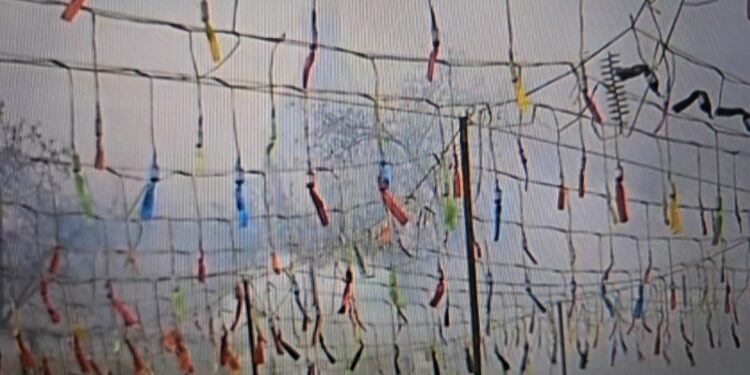 El estruendo de Alicante conquista Valencia: Hermanos Sirvent inaugura los días laborables en la Catedral de la Pólvora