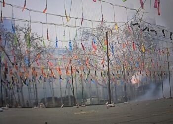 La pirotecnia Peñarroja ruge en Valencia: 141 kilos de pólvora inauguran las Fallas 2026 con un estruendo histórico