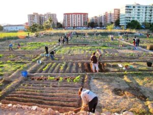 Los Huertos Urbanos Vecinales de Benimaclet, biodiversidad viva y abierta a la comunidad educativa del barrio