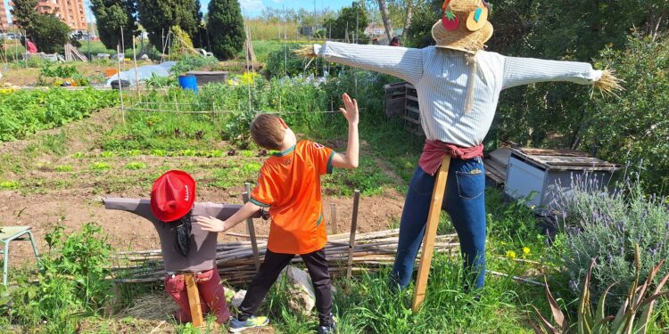 Los Huertos Urbanos Vecinales de Benimaclet, biodiversidad viva y abierta a la comunidad educativa del barrio