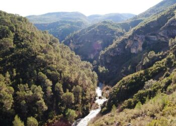 La Generalitat Valenciana restringe el uso del fuego en montes ante la llegada de la Semana Santa