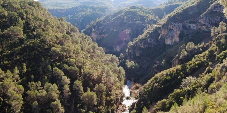 La Generalitat Valenciana restringe el uso del fuego en montes ante la llegada de la Semana Santa