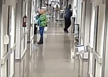 Alarma en Torrevieja: Detenido el "depredador de hospitales" que asaltaba a ancianos vulnerables