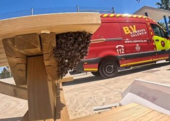 Los Bomberos de Valencia intervienen en más de 30 avisos por enjambres de abejas en un solo fin de semana
