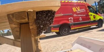 Los Bomberos de Valencia intervienen en más de 30 avisos por enjambres de abejas en un solo fin de semana