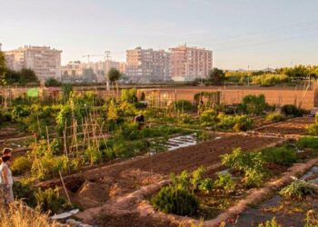 El Ayuntamiento de Valencia asume la gestion directa del diseno del PAI de Benimaclet con