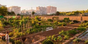El Ayuntamiento de Valencia asume la gestion directa del diseno del PAI de Benimaclet con