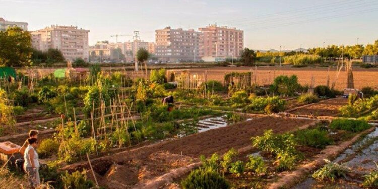 El Ayuntamiento de Valencia asume la gestion directa del diseno del PAI de Benimaclet con