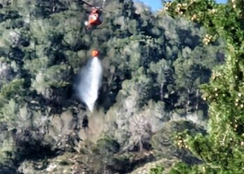 Extinguido el incendio forestal de Orihuela tras una intensa noche de trabajo coordinado 16 Extinguido el incendio forestal de Orihuela tras una intensa noche de trabajo coordinado