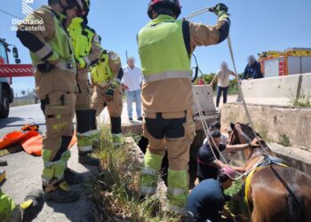 Espectacular rescate de un caballo atrapado en una acequia en Burriana