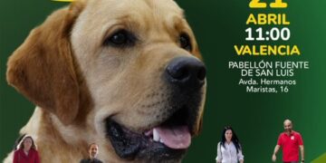 Valencia: Los perros guía de la ONCE toman el Pabellón de la Fuente de San Luis
