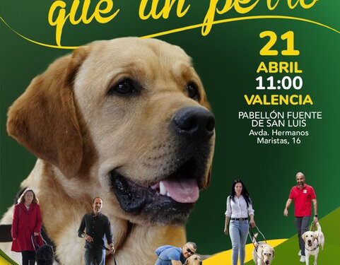 Valencia: Los perros guía de la ONCE toman el Pabellón de la Fuente de San Luis