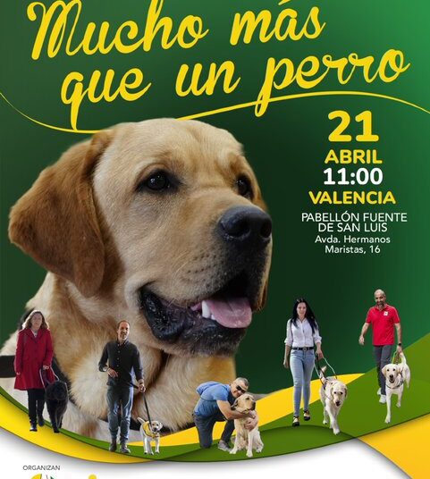 Valencia: Los perros guía de la ONCE toman el Pabellón de la Fuente de San Luis