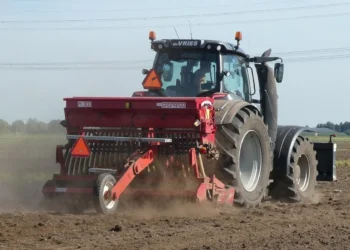 Luto en Vallada Muere un gruista de 32 anos tras quedar atrapado en un accidente laboral