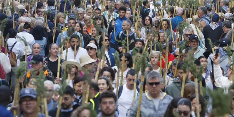 Romeria de la Santa Fac dAlacant
