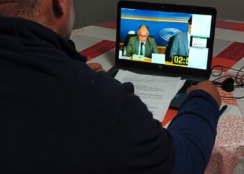 La Asociación Independiente de Agricultores de Nules (AIAN) ha presentado una petición ante el Parlamento Europeo para exigir responsabilidades por la entrada incontrolada de plagas foráneas que están destruyendo la citricultura valenciana