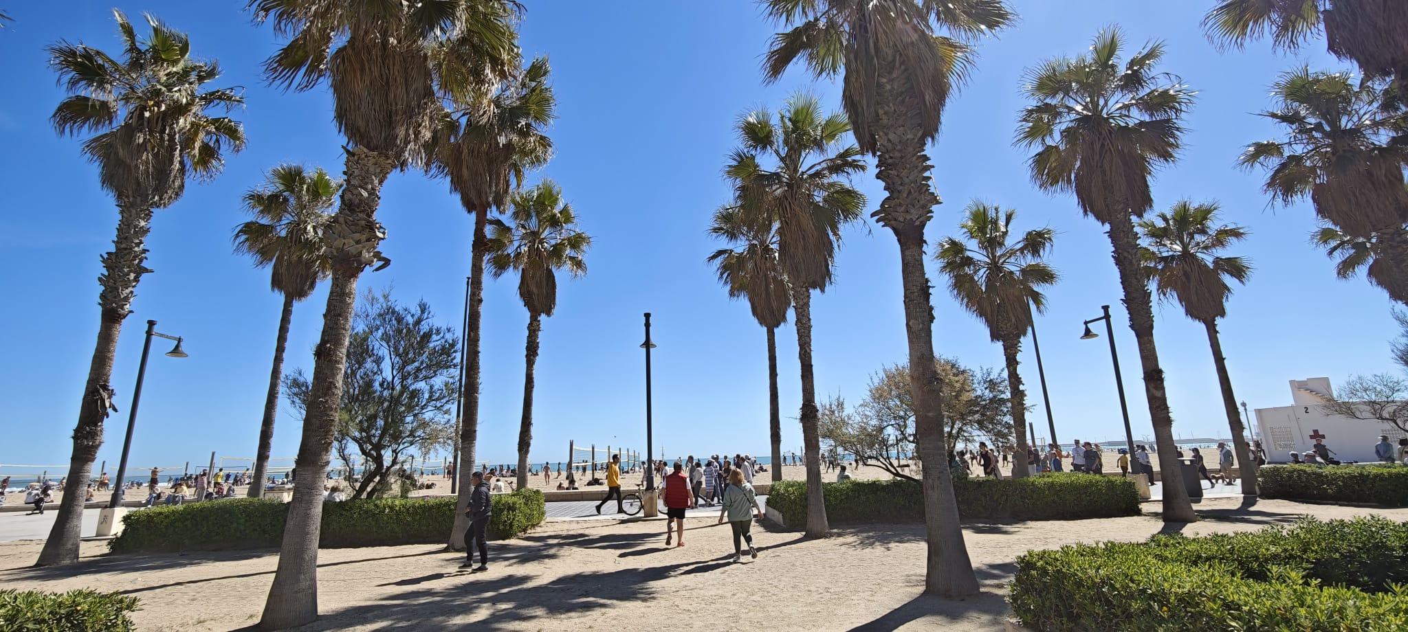 El Ayuntamiento olvida la instalación de aseos en el Cabanyal y la Malvarrosa pese a la masiva afluencia de bañistas 5 WhatsApp Image 2026 04 03 at 12.19.181