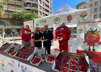 Valencia se moviliza en defensa del campo español con el reparto masivo de fresas de Huelva 14 Valencia se moviliza en defensa del campo español con el reparto masivo de fresas de Huelva