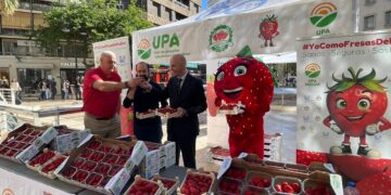 Valencia se moviliza en defensa del campo español con el reparto masivo de fresas de Huelva