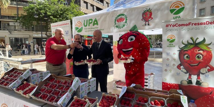 Valencia se moviliza en defensa del campo español con el reparto masivo de fresas de Huelva