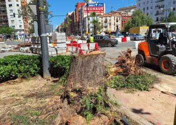Los vecinos denuncian que las obras de Pérez Galdós y Giorgeta arrasan el arbolado